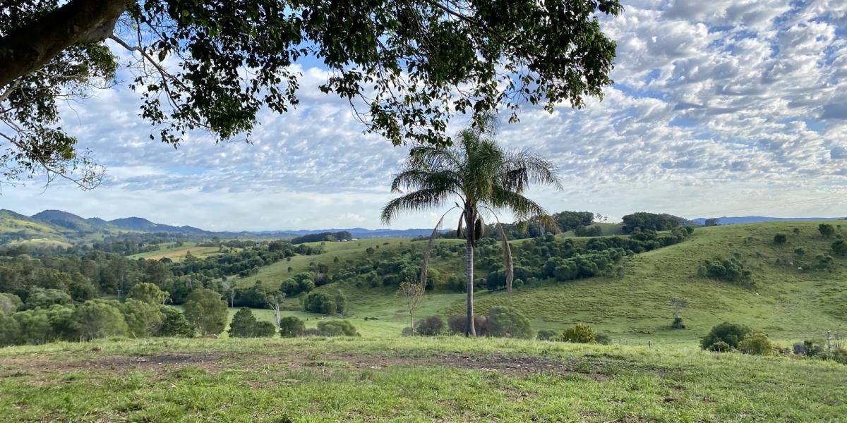 MOTIVATED SELLER - IT'S ALL ABOUT THE VIEWS!