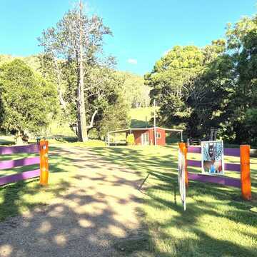 Karen - Moy Pocket testimonial image