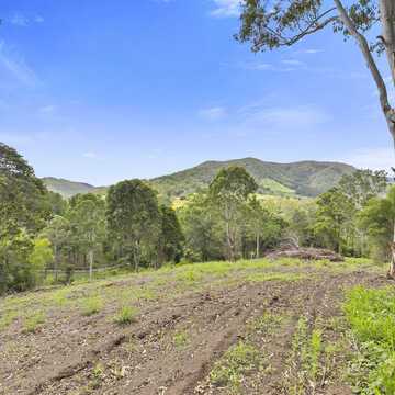 Adam - Purchased Cambroon testimonial image