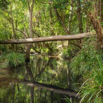 Michael - Purchased in Brooloo testimonial image