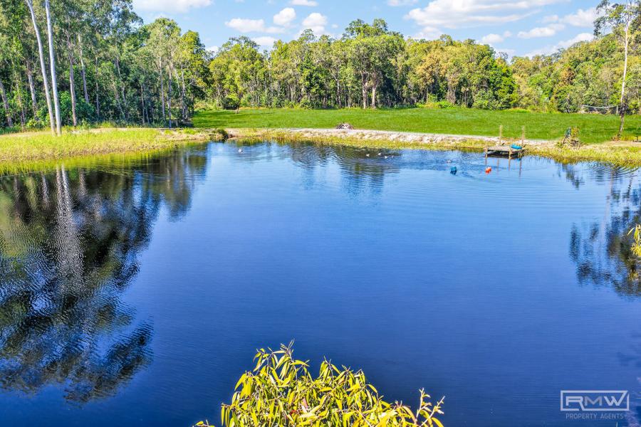 Rainforest Retreat with Unlimited Potential on 35.31 Acres