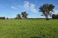 SERIOUS VENDOR HERE ..... PRICE REDUCED BY $200,000K .....INSPECTION RECOMMENDED