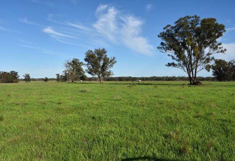 SERIOUS VENDOR HERE ..... PRICE REDUCED BY $200,000K .....INSPECTION RECOMMENDED