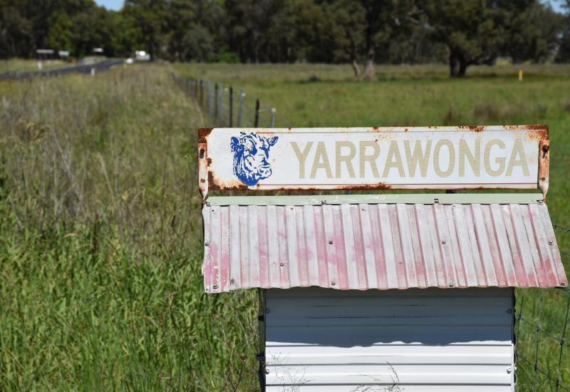 AWESOME COUNTRY ESCAPE - Grazing/Cropping  'Yarrawonga' Breelong - Inspect and Negotiate