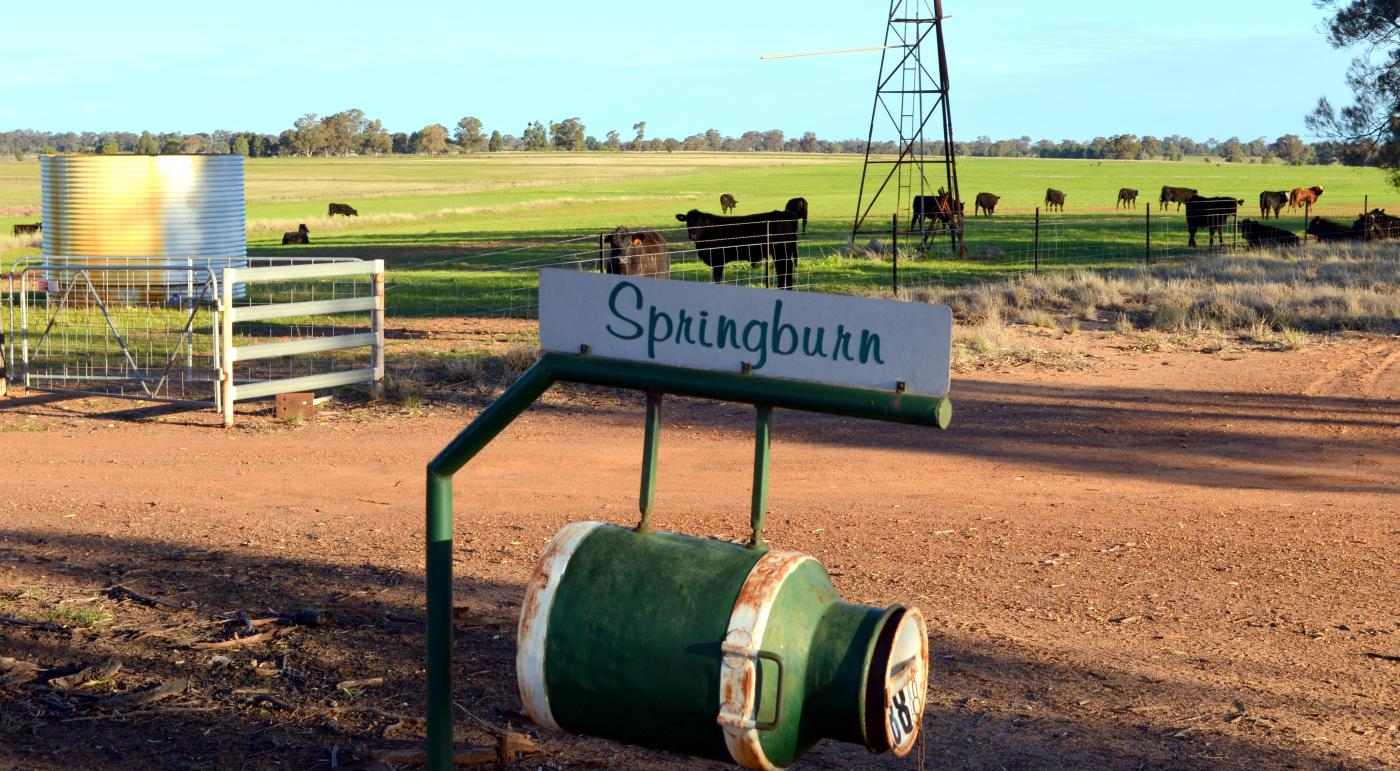 Only minutes from Gilgandra to Springburn