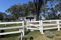 CHARMING NEW TINY HOME ON A SPACIOUS FENCED BLOCK!