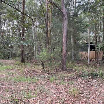 Phil C testimonial image