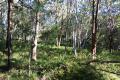 Privacy and Potential Among Nature