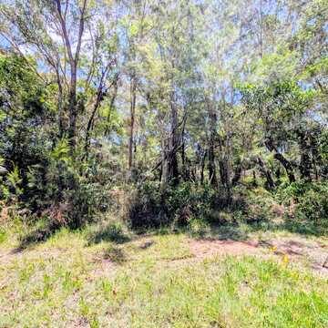 Carolyn H testimonial image