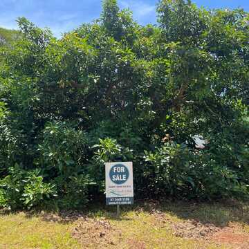 Bernadette P testimonial image