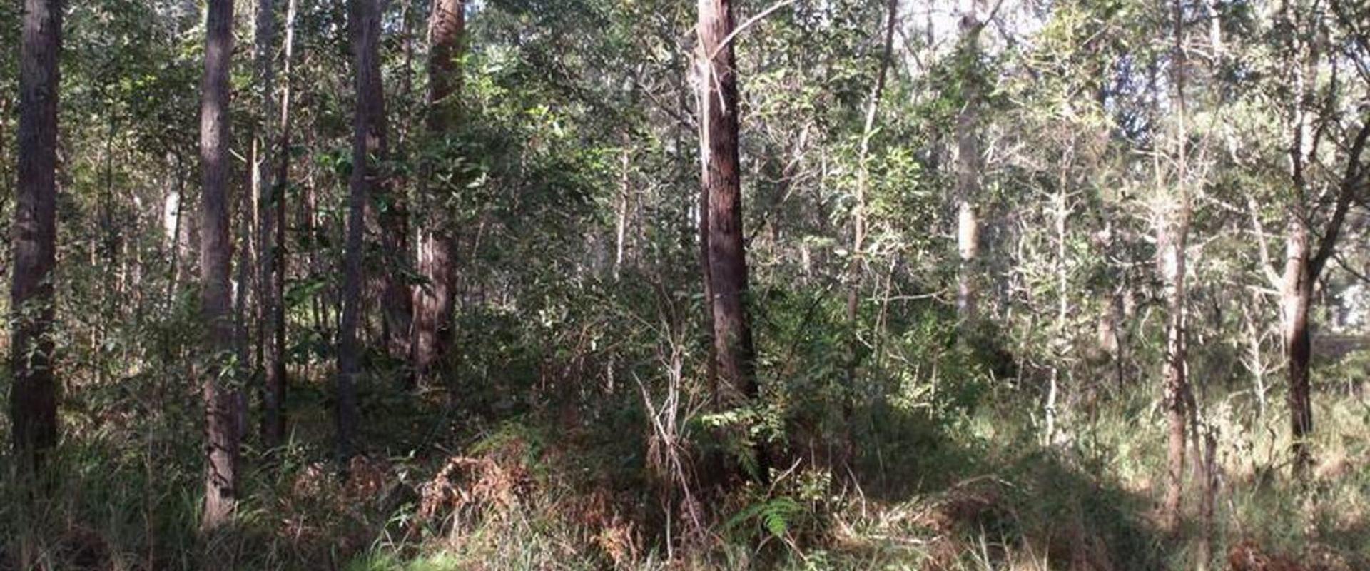 Russell Island Real Estate Under Contract