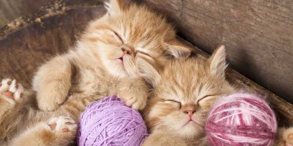 Gail & Nigel: Para Hills West testimonial image