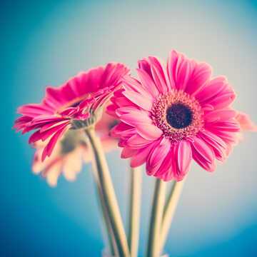 Kelly: Lightsview testimonial image