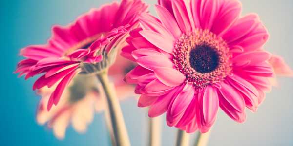 Kelly: Lightsview testimonial image