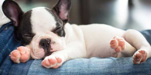 Sarah & Sam: Northfield testimonial image