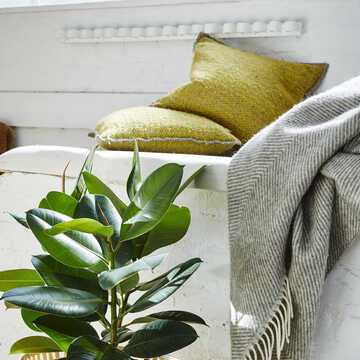 Shaun: St Marys testimonial image