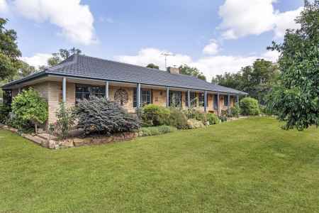 Bittern Beauty with backyard bliss and more