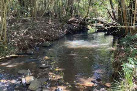 Ravensbourne lifestyle block Approx. 40 beautiful acres with creek.