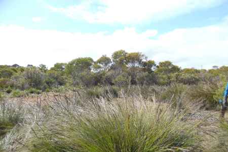 Huge block, flat land, pristine environment!