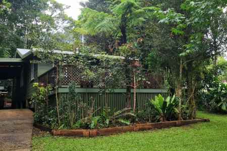 Cozy Cottage in unique rainforest location