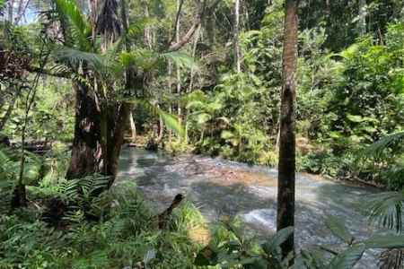 [SOLD] Tropical lifestyle acreage property with creek, orchard & renovation potential