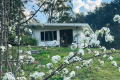 Off Grid Flood-Free 20 acre Serene Bush Block NORTHERN RIVERS **REDUCED**