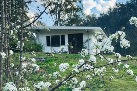 Off Grid Flood-Free 20 acre Serene Bush Block NORTHERN RIVERS **REDUCED**