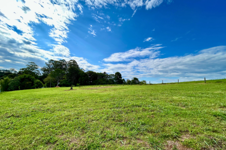 Premium 1.25 Acre Parcel in Picturesque Maleny