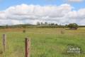 50-Acre Paradise: Motivated to sell!
