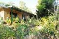 Charming Hills Retreat with Endless Potential