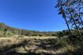 ‘Hidden Falls’ – 142 Acres of Natural Beauty - ALL OFFERS CONSIDERED - QUICK SALE BY OWNERS WANTED.