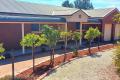 Perfect 3 bedroom family home, on large 1700m2 , low maintenance established garden block