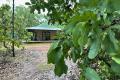 Charming bush setting with two up to code dwellings.