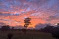 Secluded Country Homestead on 33 Acres – Your Perfect Lifestyle Awaits!