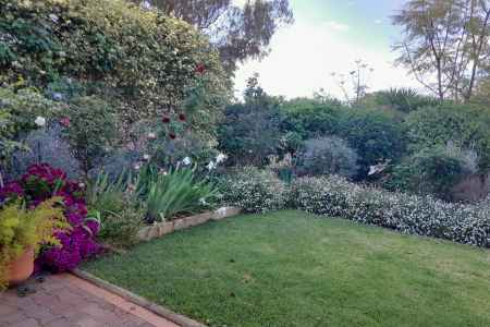 FOR SALE EAST DUBBO NSW Four bedroom Home