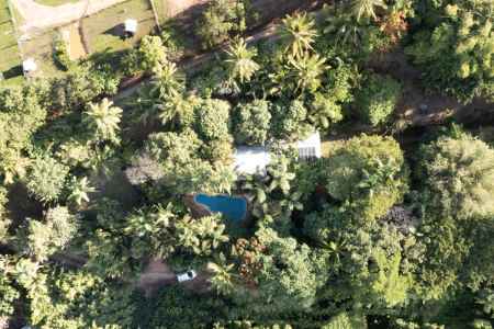 Botanical Sanctuary & Tropical Lifestyle Haven