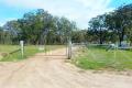 Coolah 80 Acres - Farm