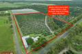 BRICK HOME ON 16 ACREAS WITH 400M2 SHED, 1025 AVOCADO TREES, GREAT WATER SUPPY & MUCH MORE…