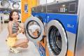 Long established coin laundry for sale in Bayswater