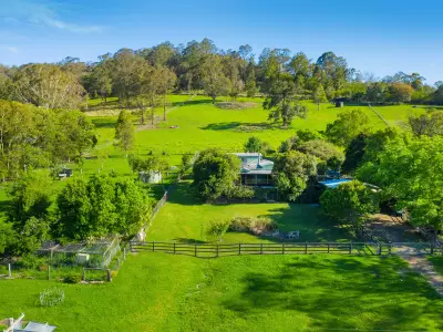 Kate N testimonial image