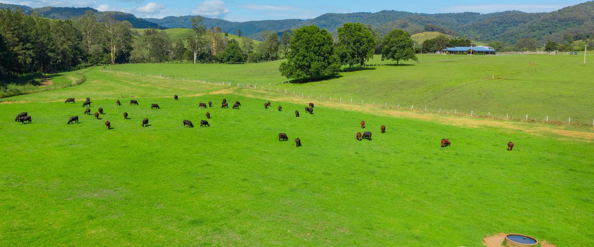 Slater & Slater Real Estate Prime riverfront acres with impressive home