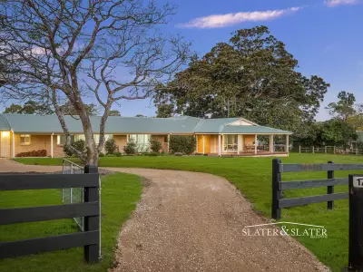 Toby S testimonial image