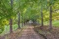"Riversdale" - Charming home on 27.5 acres of fertile land fronting Mortons Creek