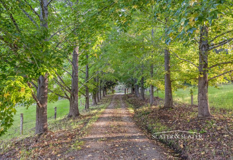 "Riversdale" - Charming home on 27.5 acres of fertile land fronting Mortons Creek