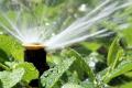 Irrigation Business - Longevity + Growth Potential