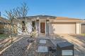 Stylish, Spacious Living in a Tranquil Sippy Downs Neighbourhood