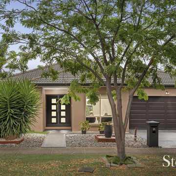 Lance L testimonial image