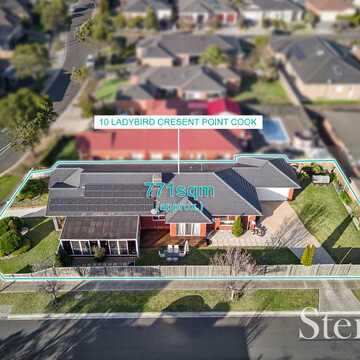 Elena M testimonial image