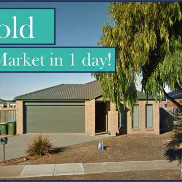 Peter Higgins (Vendor) testimonial image