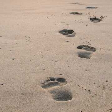 Benji Jenkins testimonial image